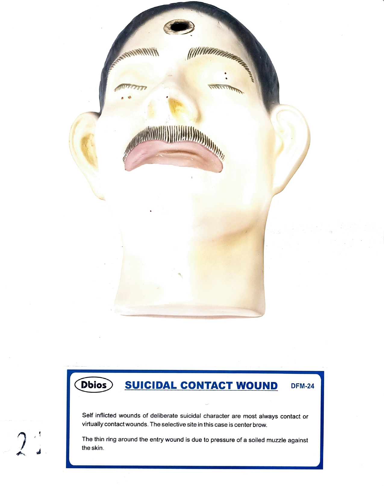 Department Gallery 07